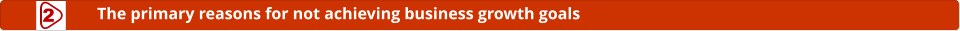 The primary reasons for not achieving business growth goals 2